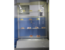 义齿模型展示柜